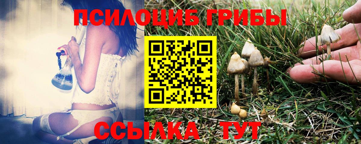 Псилоцибиновые грибы ЛСД Мытищи
