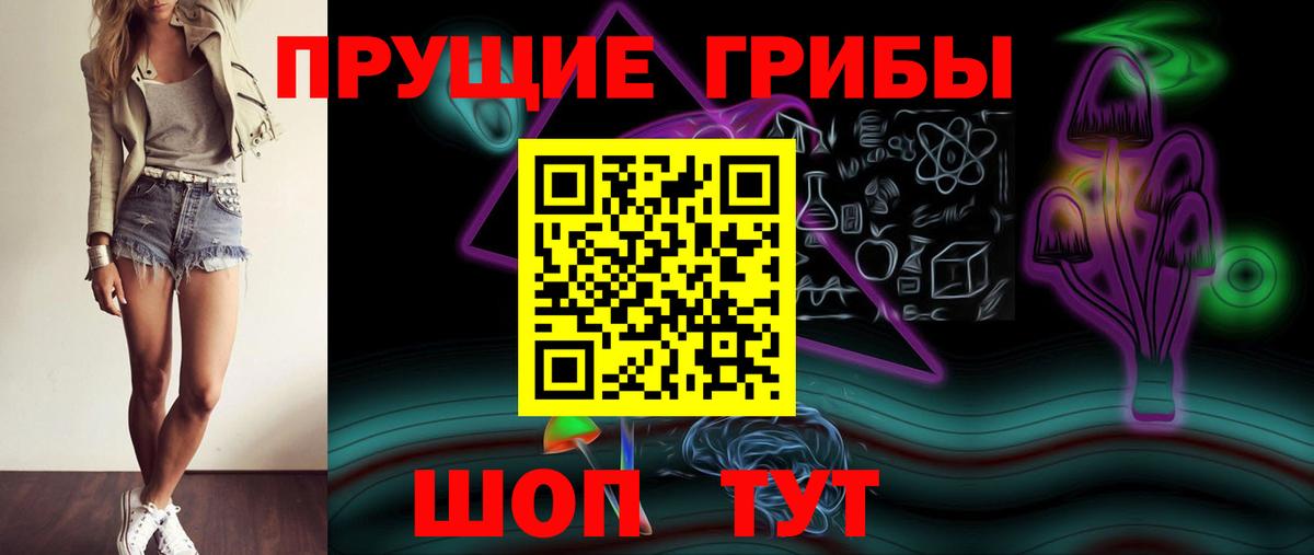 Мытищи  Псилоцибиновые грибы мицелий  Вход с VPN  Псилоцибиновые грибы Psilocybe 