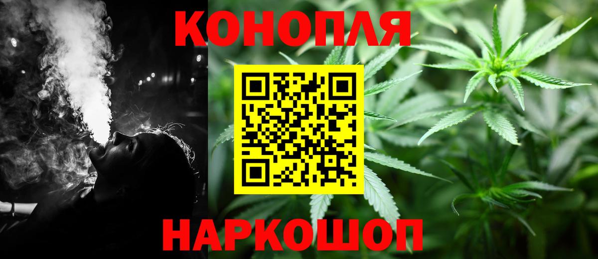 Бошки Шишки VHQ Мытищи
